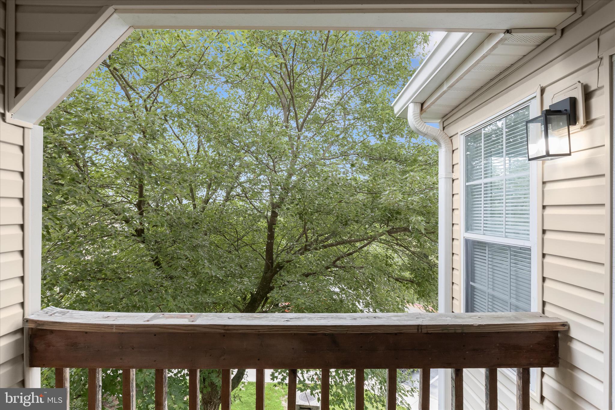 204 JUNEBERRY WAY 3D