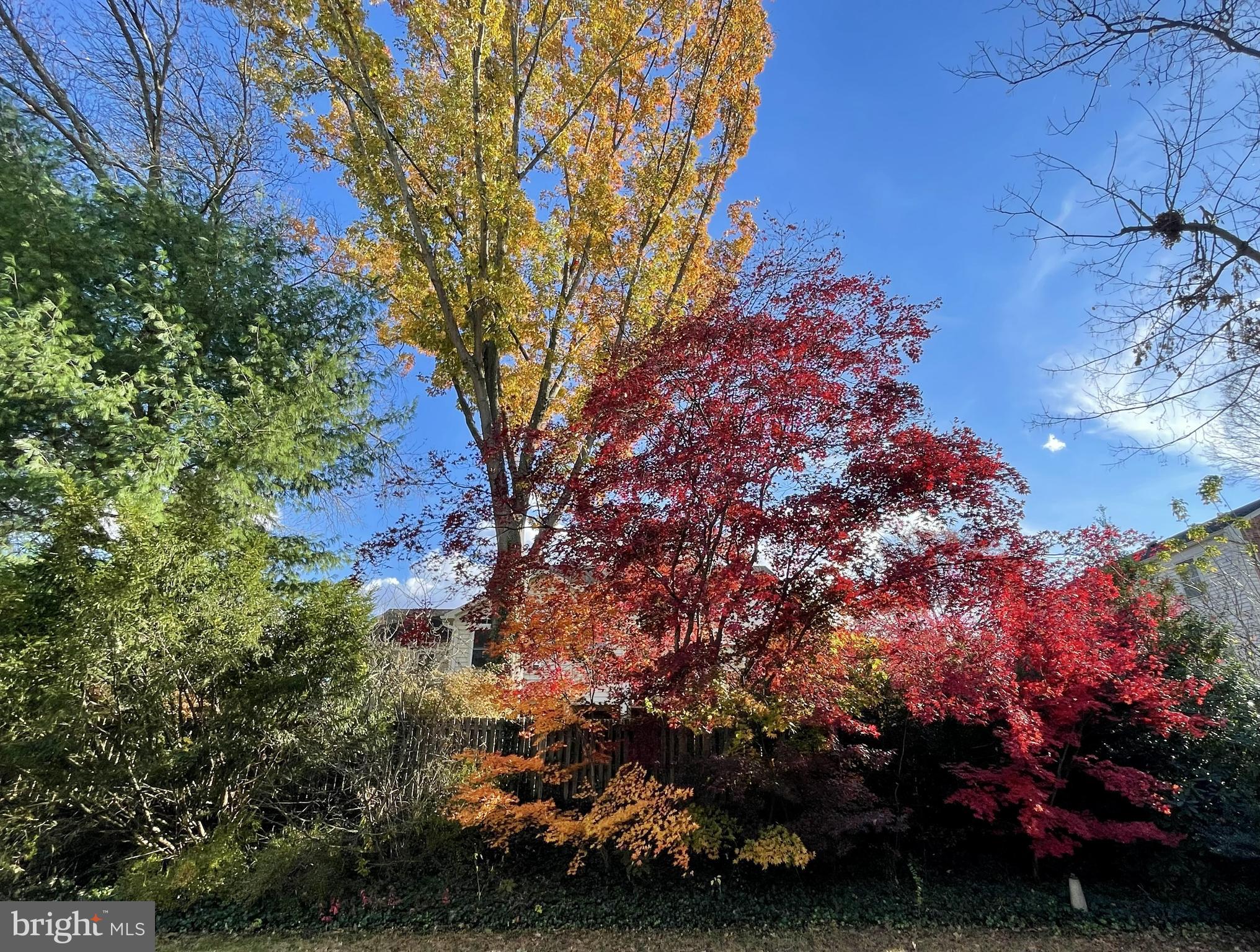 FOX HILLS WEST - Residential