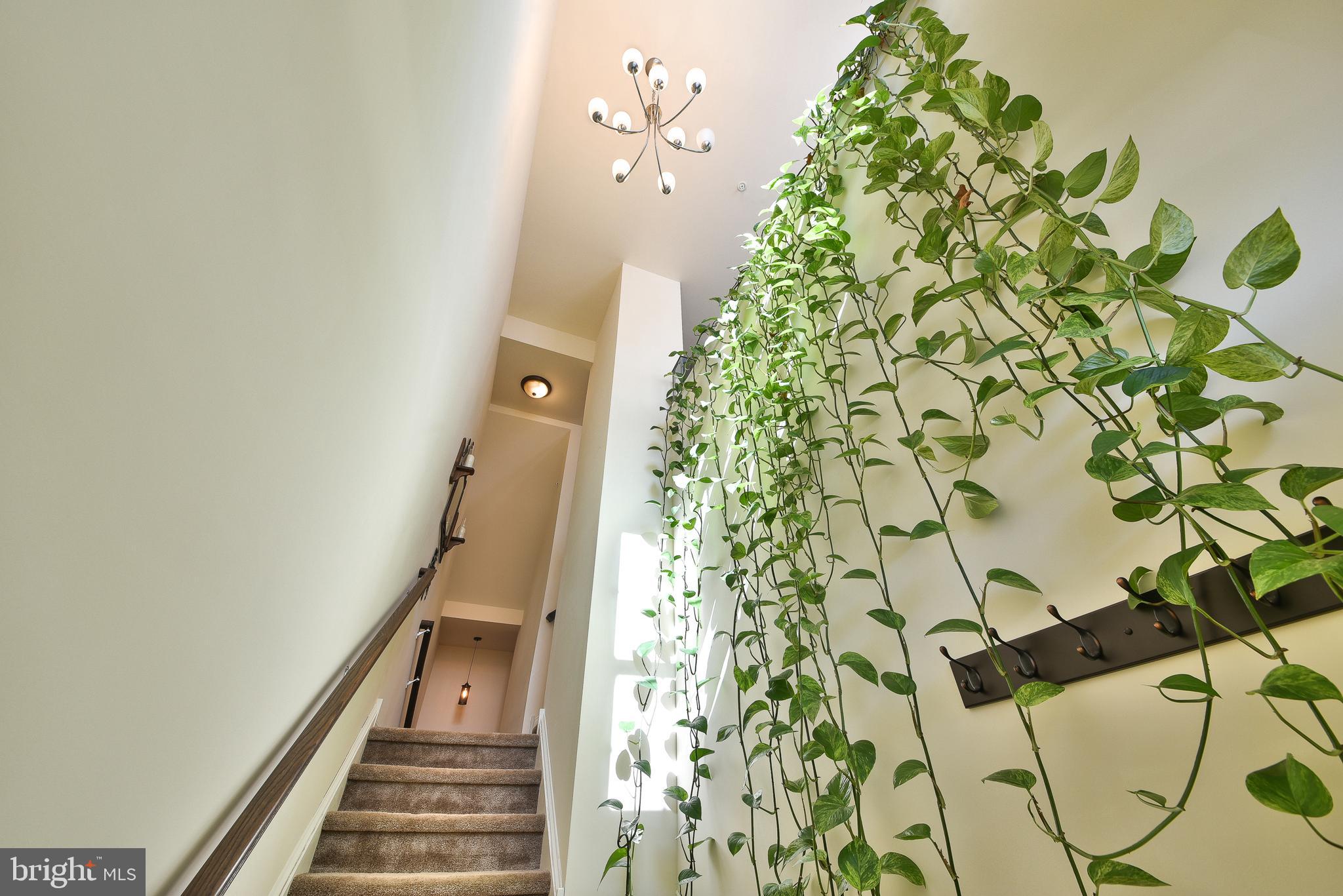 HIGH GROVE - Residential