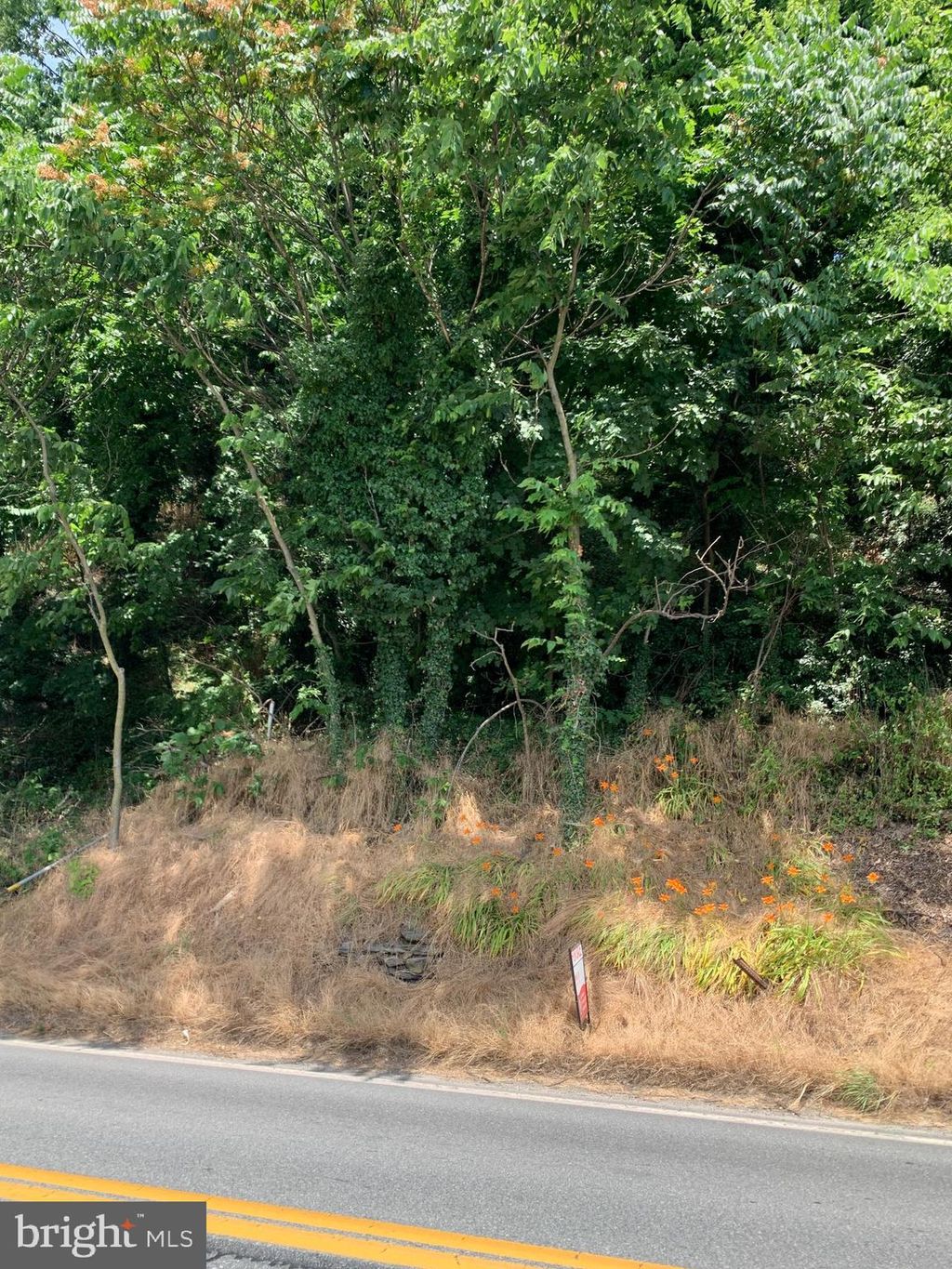 Photo of 1450 Water Street, WASHINGTON BORO, PA 17582 (MLS # PALA2052746)