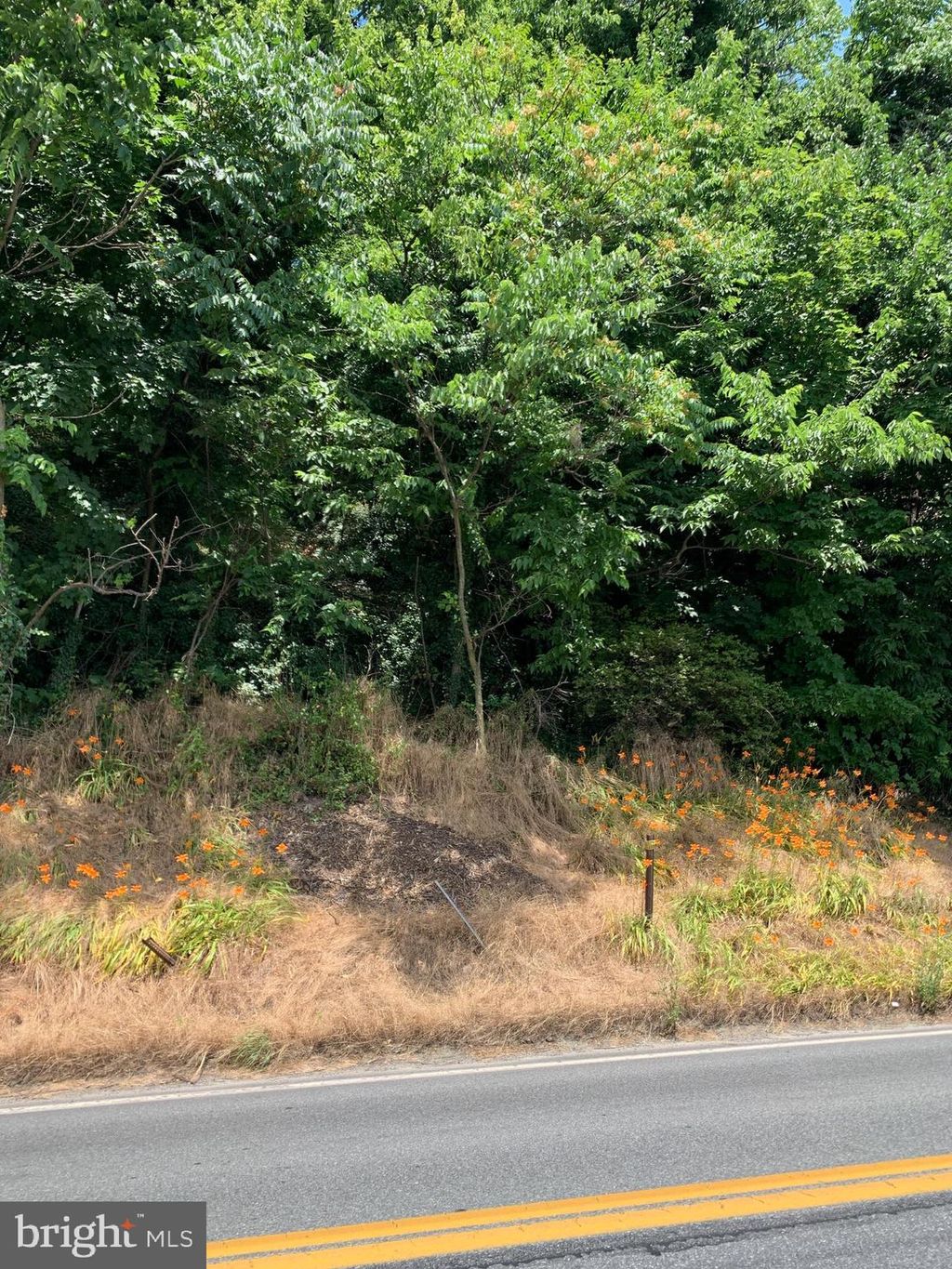 Photo of 1450 Water Street, WASHINGTON BORO, PA 17582 (MLS # PALA2052746)