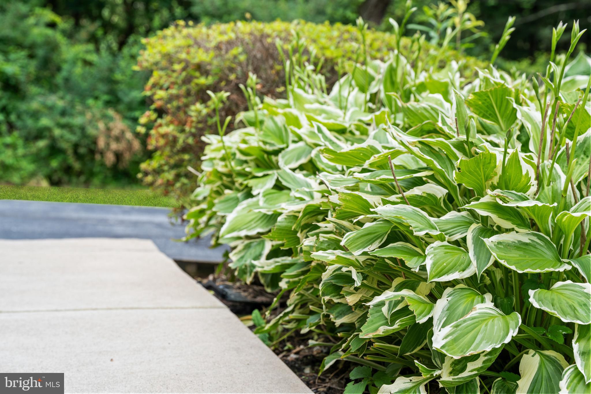 SUNSET ACRES - Residential