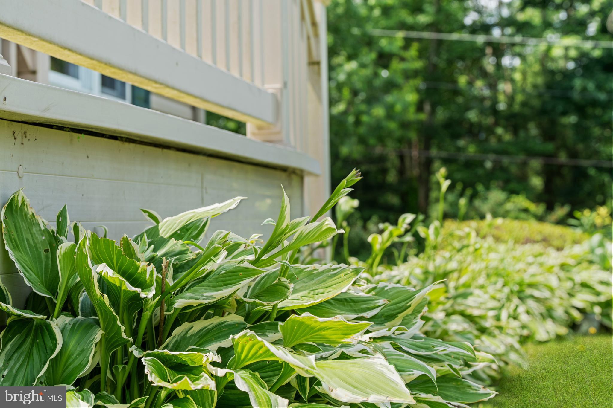 SUNSET ACRES - Residential