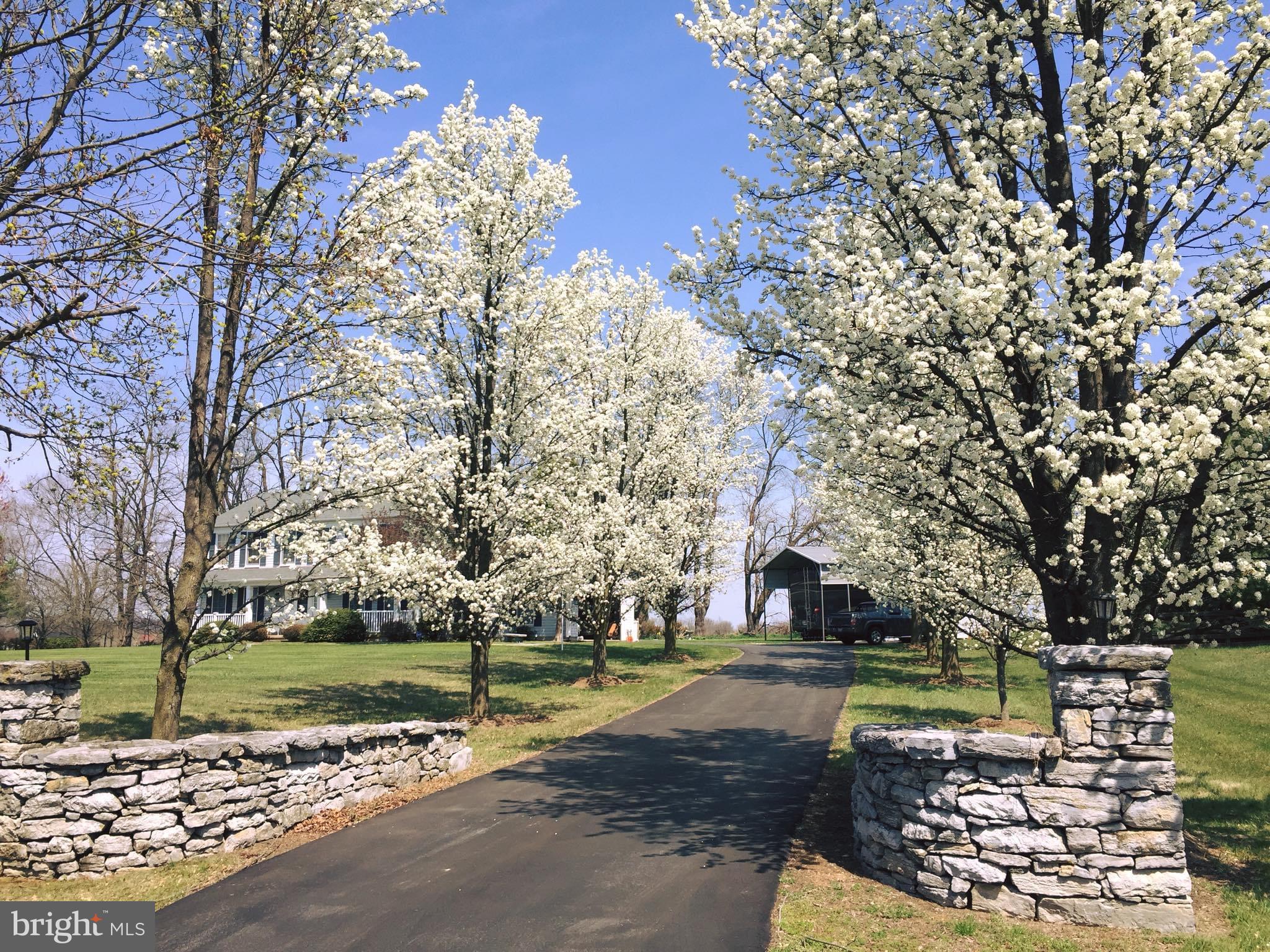 STEEPLE CHASE - Residential