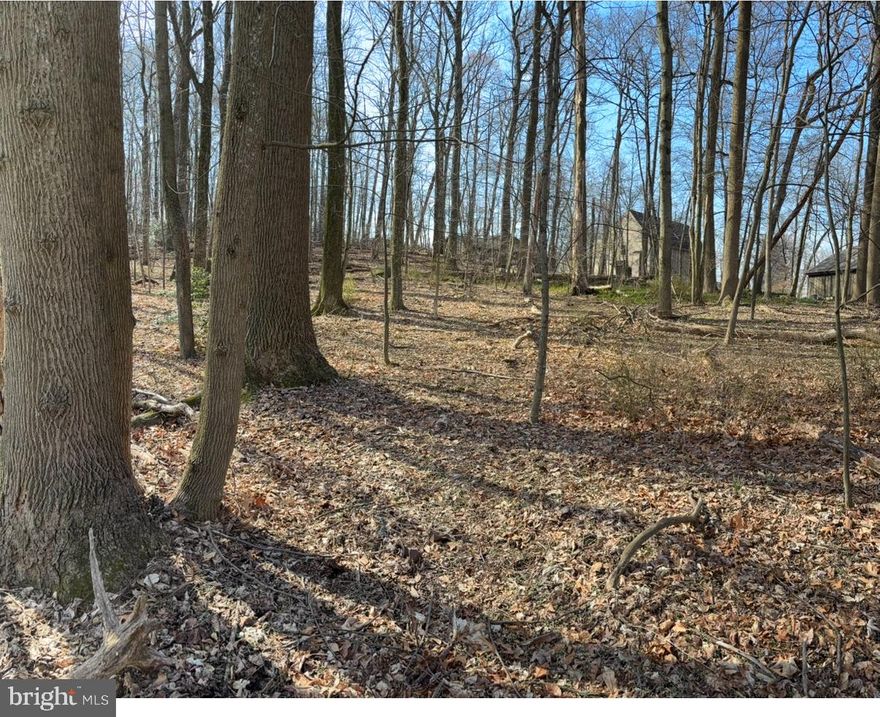 This beautifully private and recently surveyed .66-acre lot is ready for your dream home—bring any builder! Nestled on a quiet cul-de-sac, the gently sloping terrain offers public sewer access and the perfect setting for new construction. Enjoy easy access to Mount Gretna Lake, as well as the charming Mount Gretna Chautauqua and Campmeeting communities. Don’t miss this opportunity to own your own slice of paradise in the heart of Mount Gretna!
There is currently no real estate yard sign on property