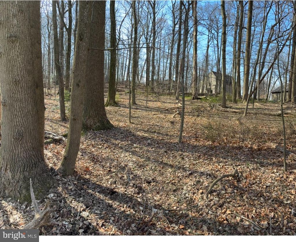 Photo of 0 Ss Timber Cove, MOUNT GRETNA, PA 17064 (MLS # PALN2019200)