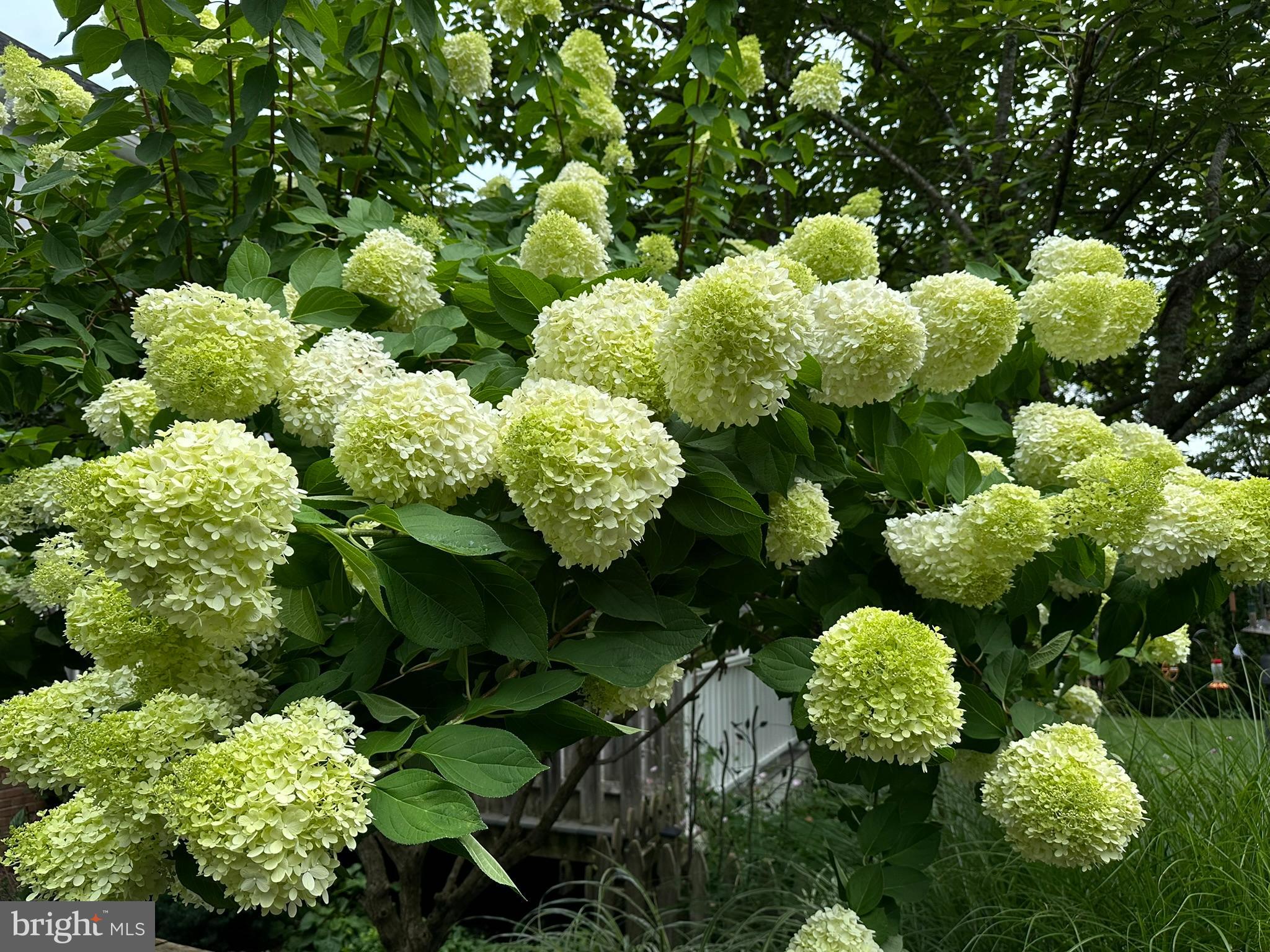 ASHLAND - Residential