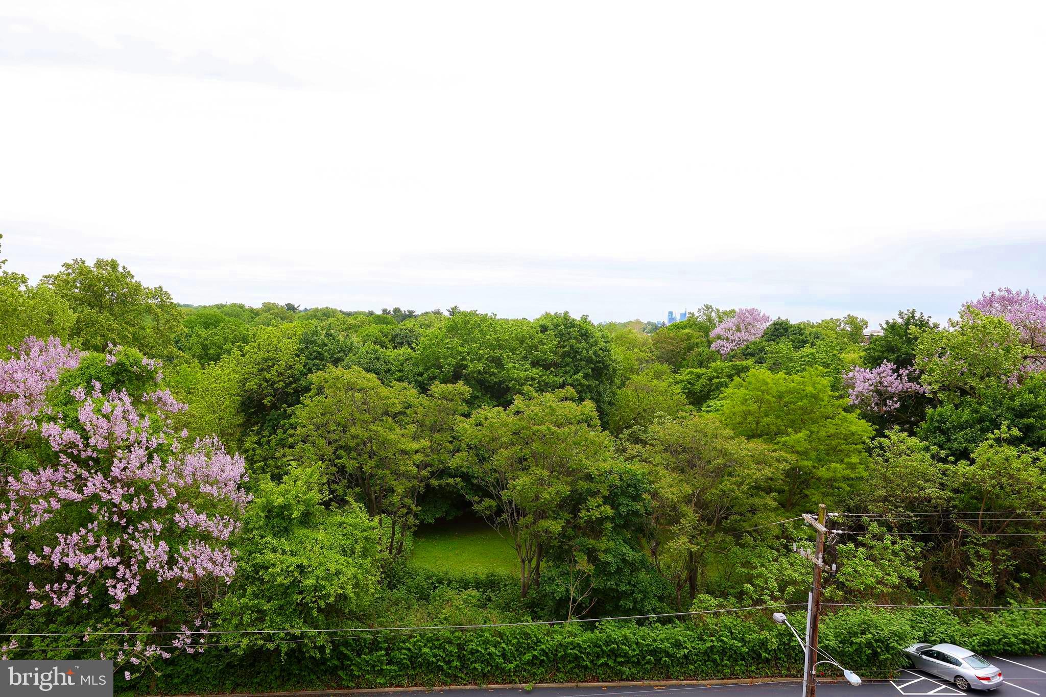 ROXBOROUGH - Residential Lease