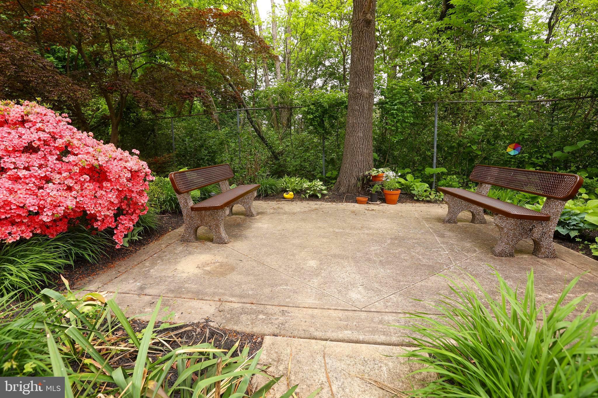 ROXBOROUGH - Residential Lease