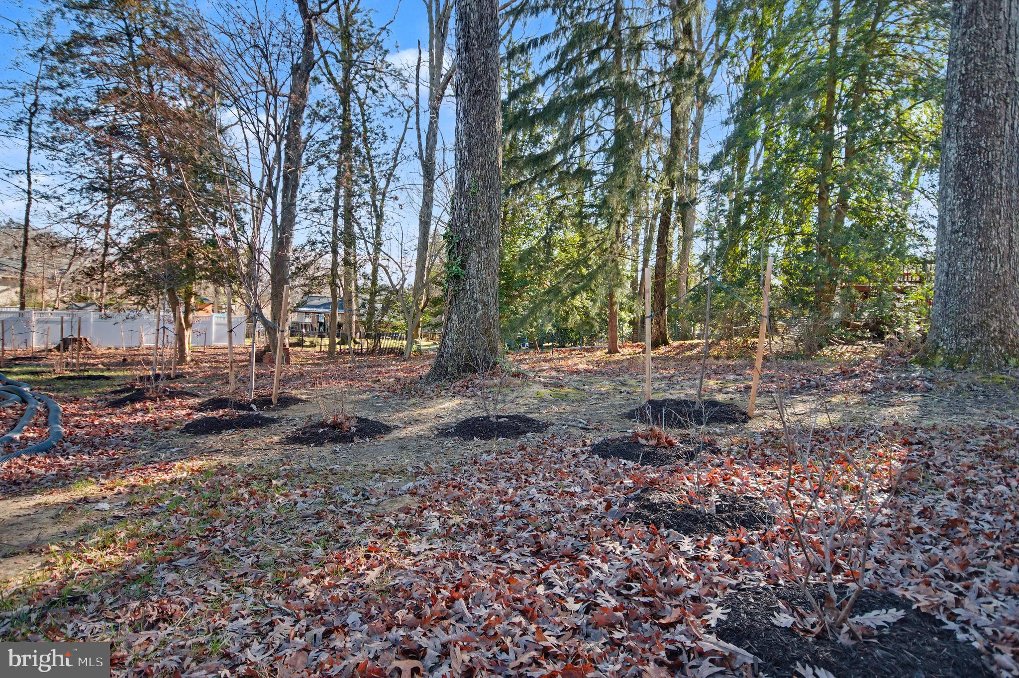 HILLSMERE ESTATES - Residential