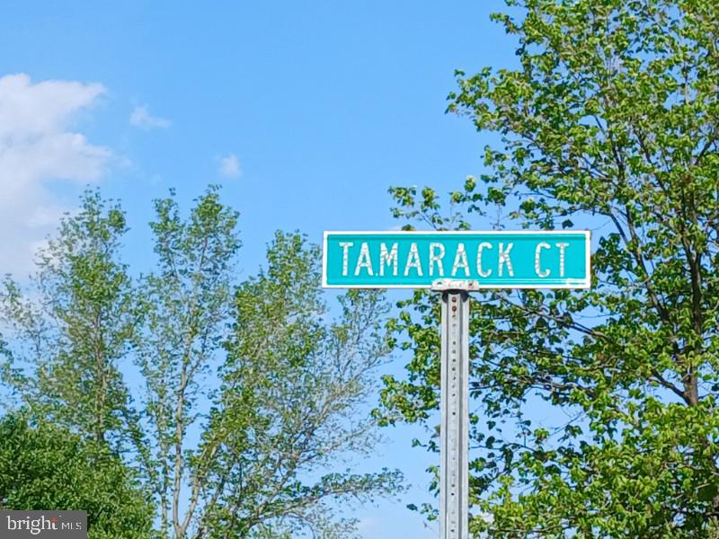 304 TAMERACK COURT