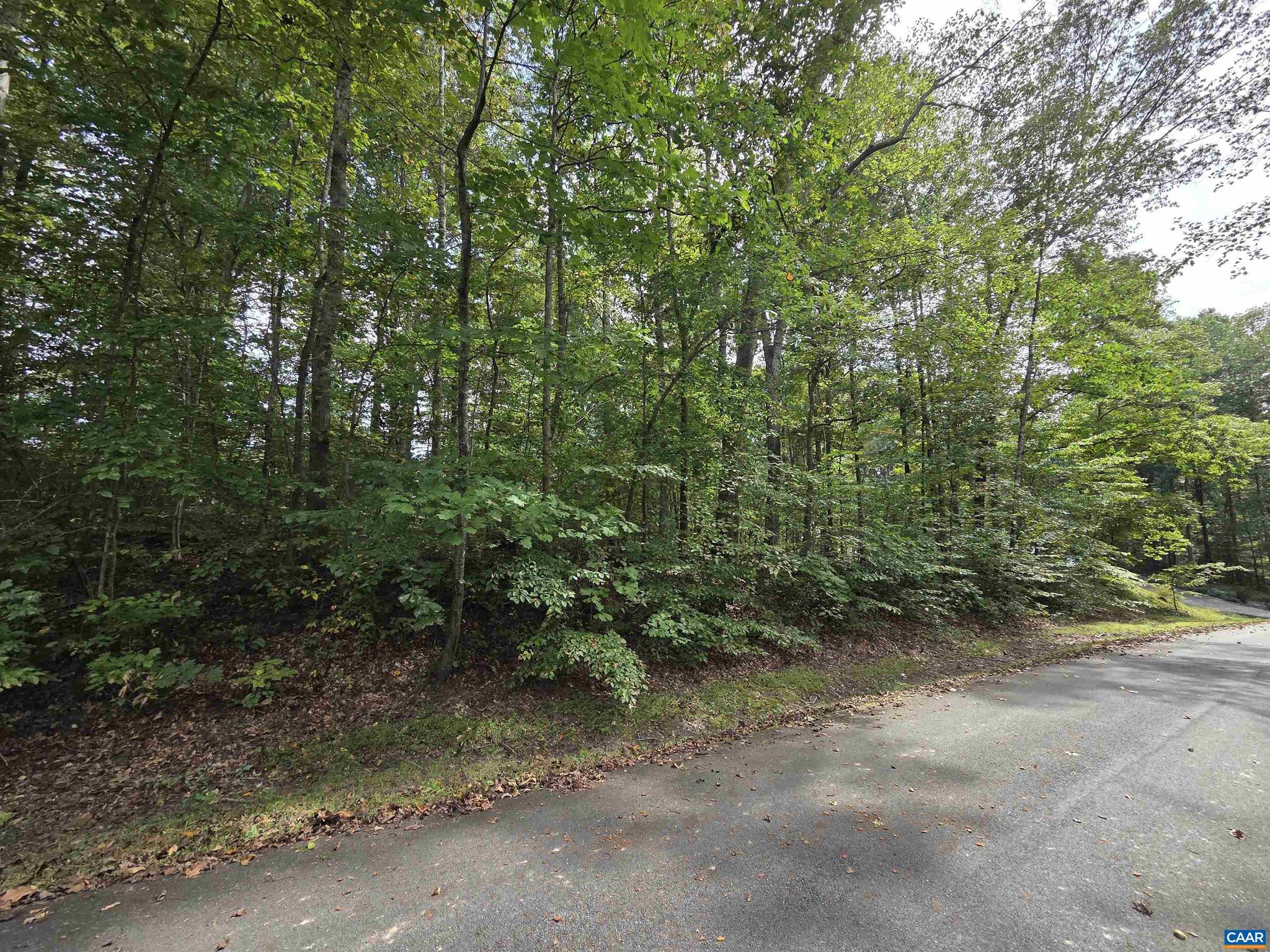 230 BEECH NUT DR 951 & 952