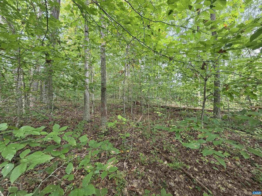 Two lots, side by side with conventional 3 bedroom perk with survey done. Ready to build your home! This resort gated community offer lots of recreational options, like fishing, boating, sandy beaches, recreation areas & playgrounds, hiking trails, tennis, pickelball, basketball, and more!