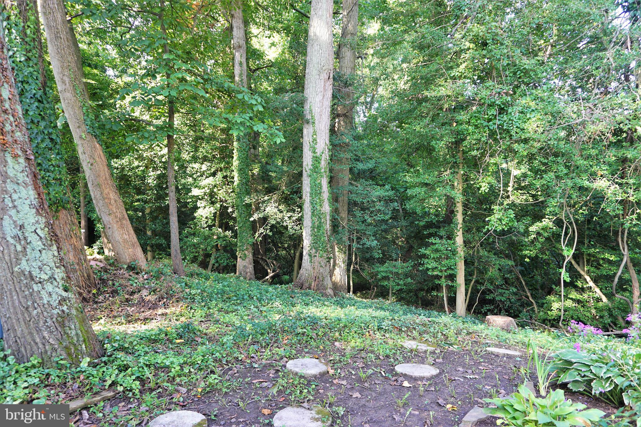 CAPE ST CLAIRE - Residential