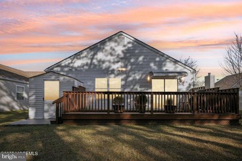 listing image 41