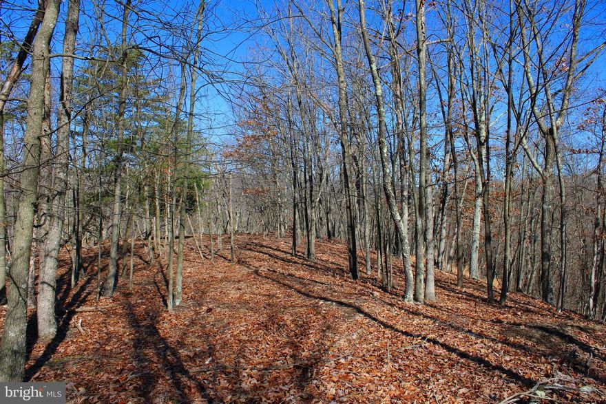 Escape to the rugged beauty of Hampshire County, West Virginia, with this remarkable 20-acre property. Surrounded by towering oak timber, this mountain retreat offers breathtaking views of the Potomac River valley below, creating a rugged yet picturesque backdrop for your adventures. For those seeking their own piece of the mountain, this property is a paradise, abundant with opportunities for hunting amidst the thriving wildlife including deer, turkey, and bear. Just a stone's throw away from Dulles Airport, this haven provides easy access to the tranquility of the wilderness without sacrificing convenience. Whether you're seeking a weekend escape or a rugged outpost to call your own, this Hampshire County treasure promises the ultimate retreat for the modern escape from suburbia. Seize the opportunity to own a piece of this untamed landscape!