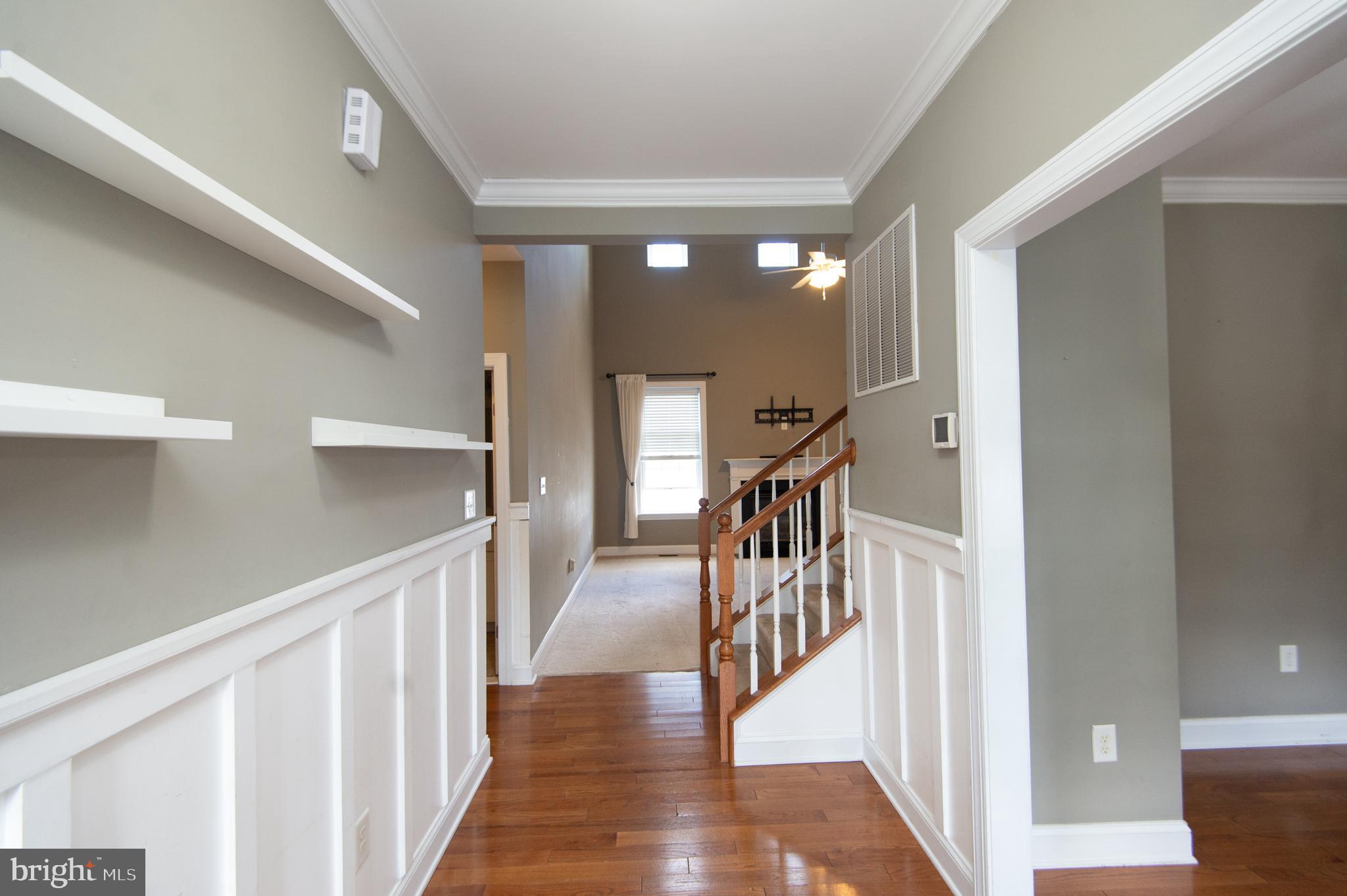 29798 CAPTAIN ADAMOUSKI STREET