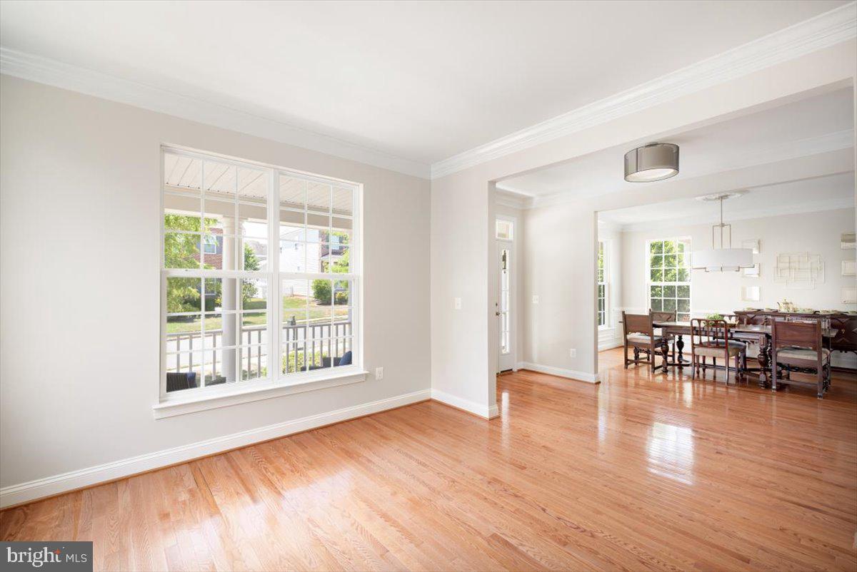 ELYSIAN HEIGHTS - Residential