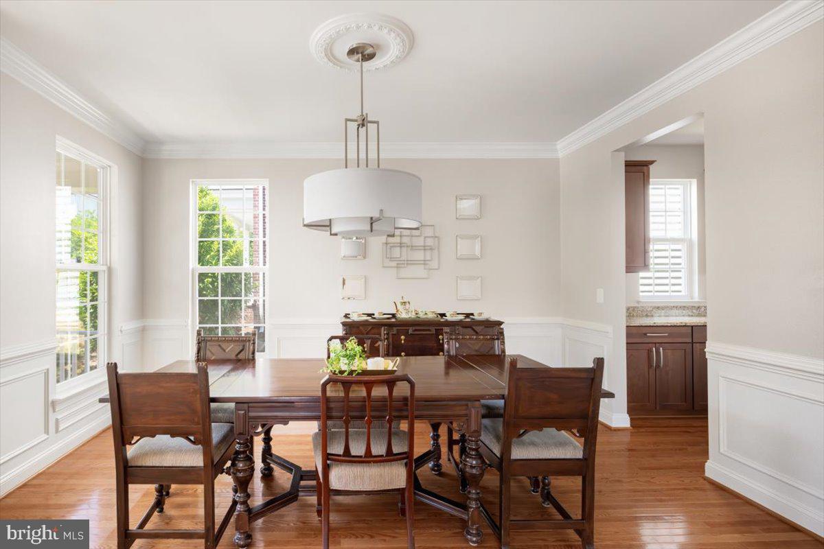 ELYSIAN HEIGHTS - Residential