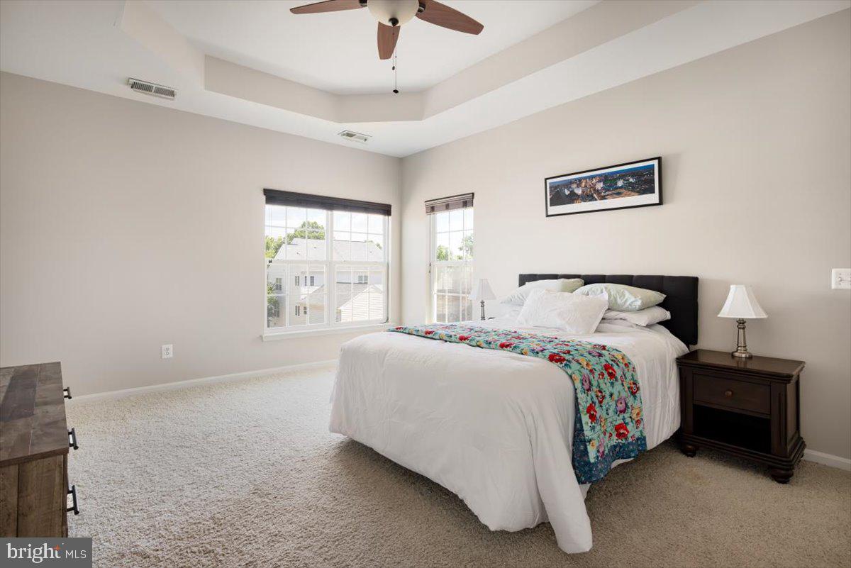 ELYSIAN HEIGHTS - Residential