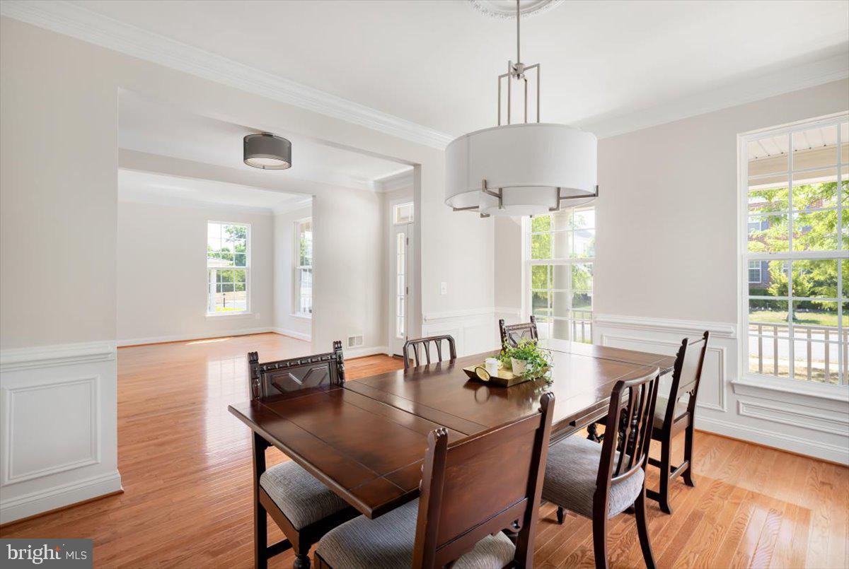 ELYSIAN HEIGHTS - Residential