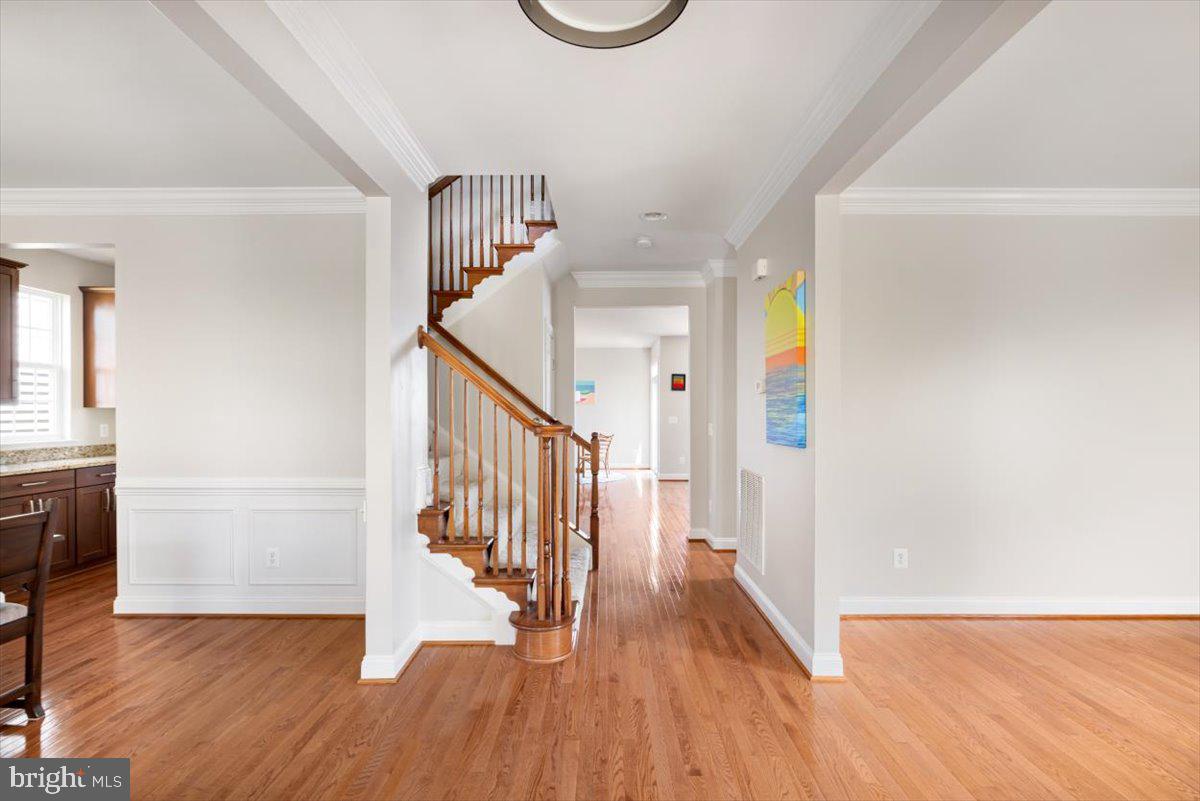 ELYSIAN HEIGHTS - Residential