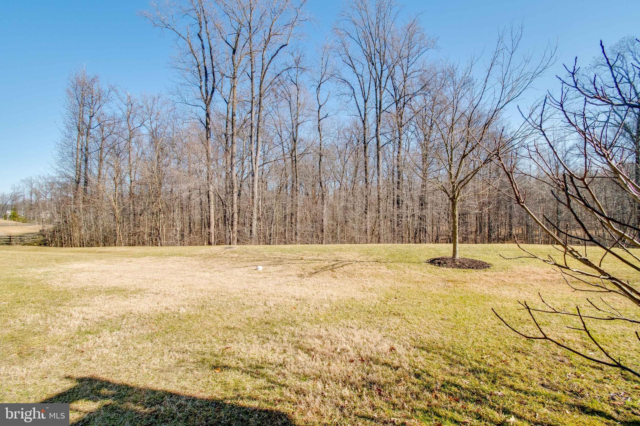 VILLAGES OF DORCHESTER - Residential