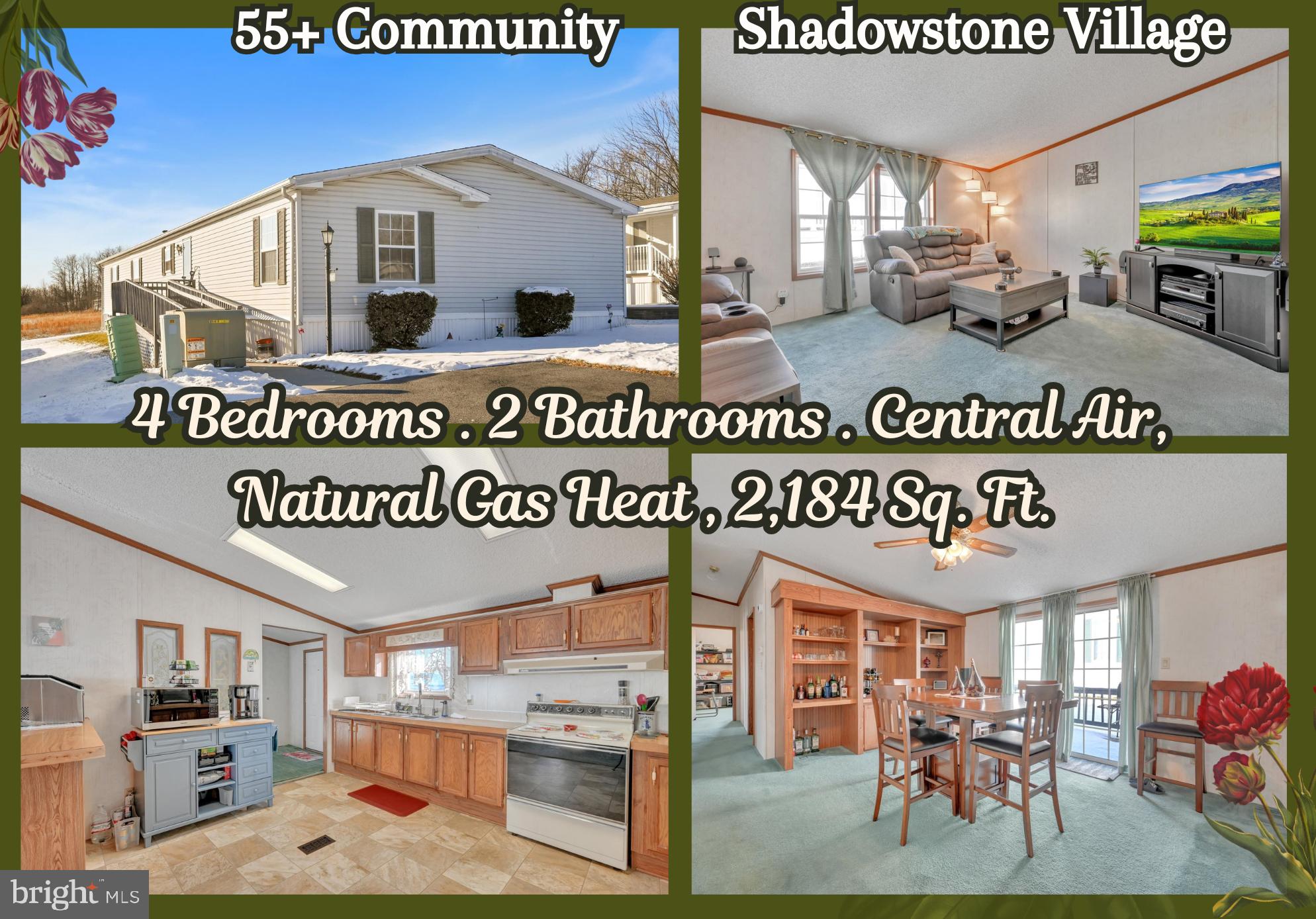 SHADOWSTONE VILLAGE - Residential