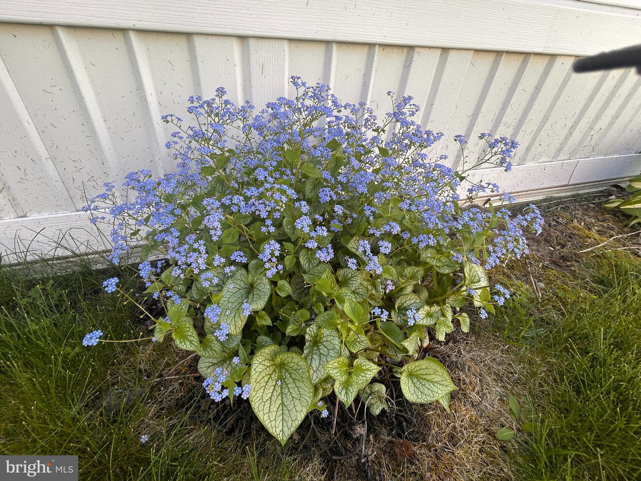 SHADOWSTONE VILLAGE - Residential