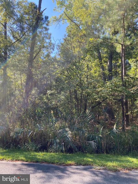 Vacant Land For Sale - Parsons Drive<br/> MADISON, MD 21648