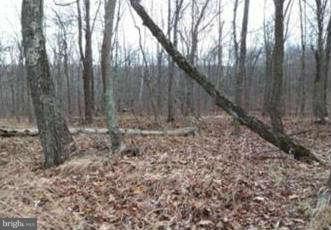 CACAPON RIVER COLONY - Land