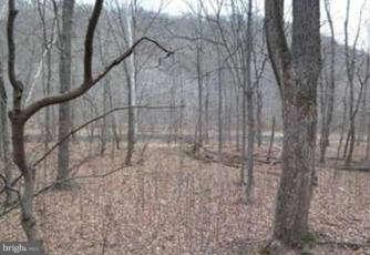 CACAPON RIVER COLONY - Land