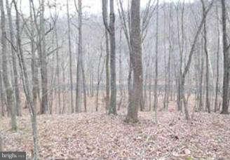 CACAPON RIVER COLONY - Land