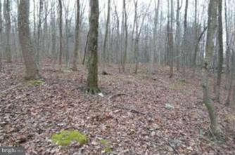 CACAPON RIVER COLONY - Land