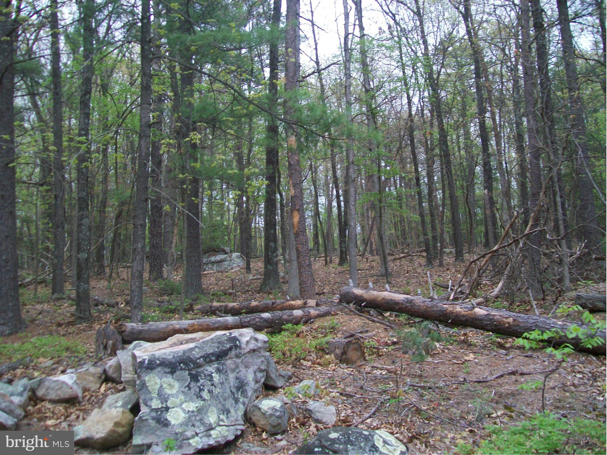 BUFFALO RIDGE RANCHETTES - Land