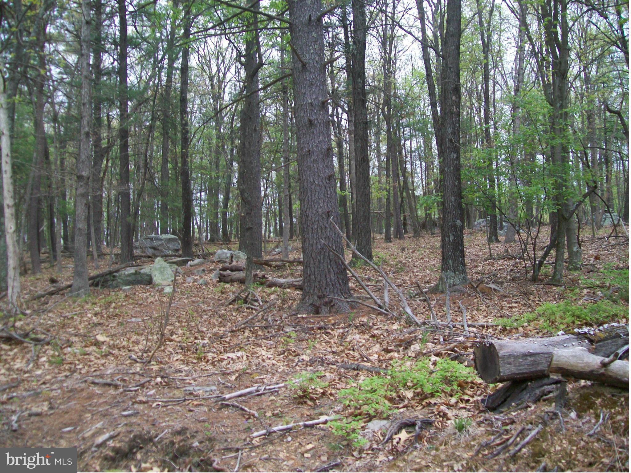 BUFFALO RIDGE RANCHETTES - Land