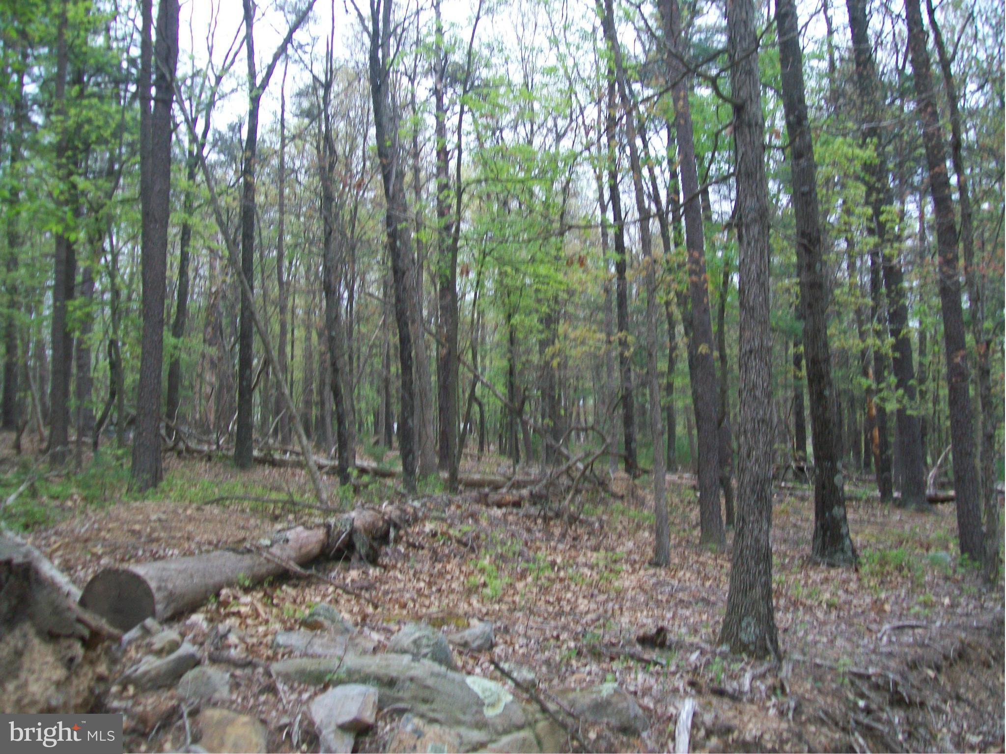 BUFFALO RIDGE RANCHETTES - Land