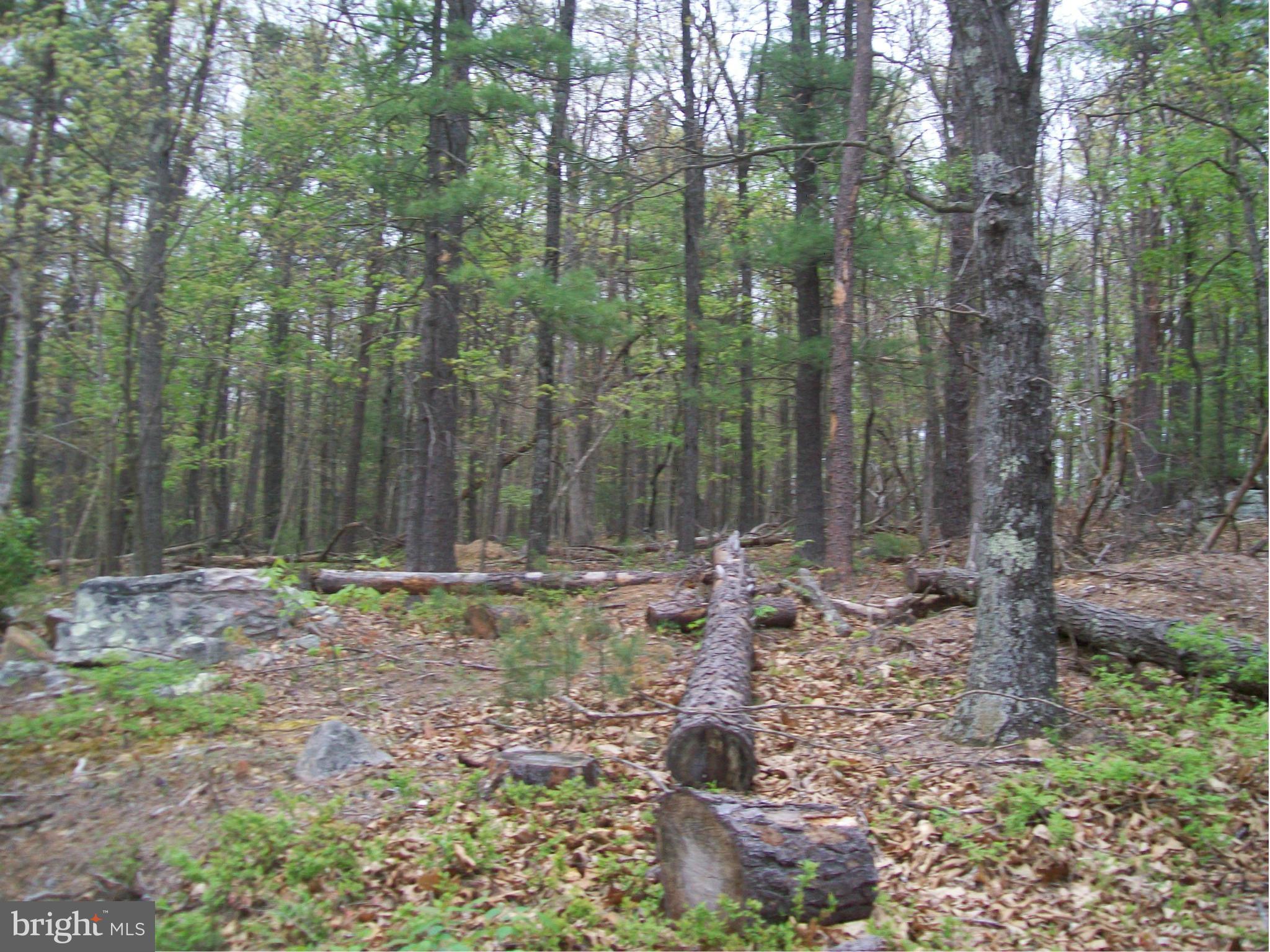 BUFFALO RIDGE RANCHETTES - Land