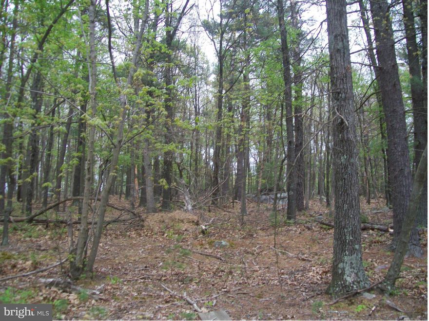 SITUATED ON A MOUNTAIN TOP WITH PLEASANT VIEWS OF MOUNTAINS AND VALLEY.  MAINLY WOODED PARCEL OFFERING PRIVACY, BORDERS LARGE 256 ACRE PARCEL.  BUILD, HUNT, CAMP, ENJOY WILD, WONDERFUL, WEST VIRGINIA