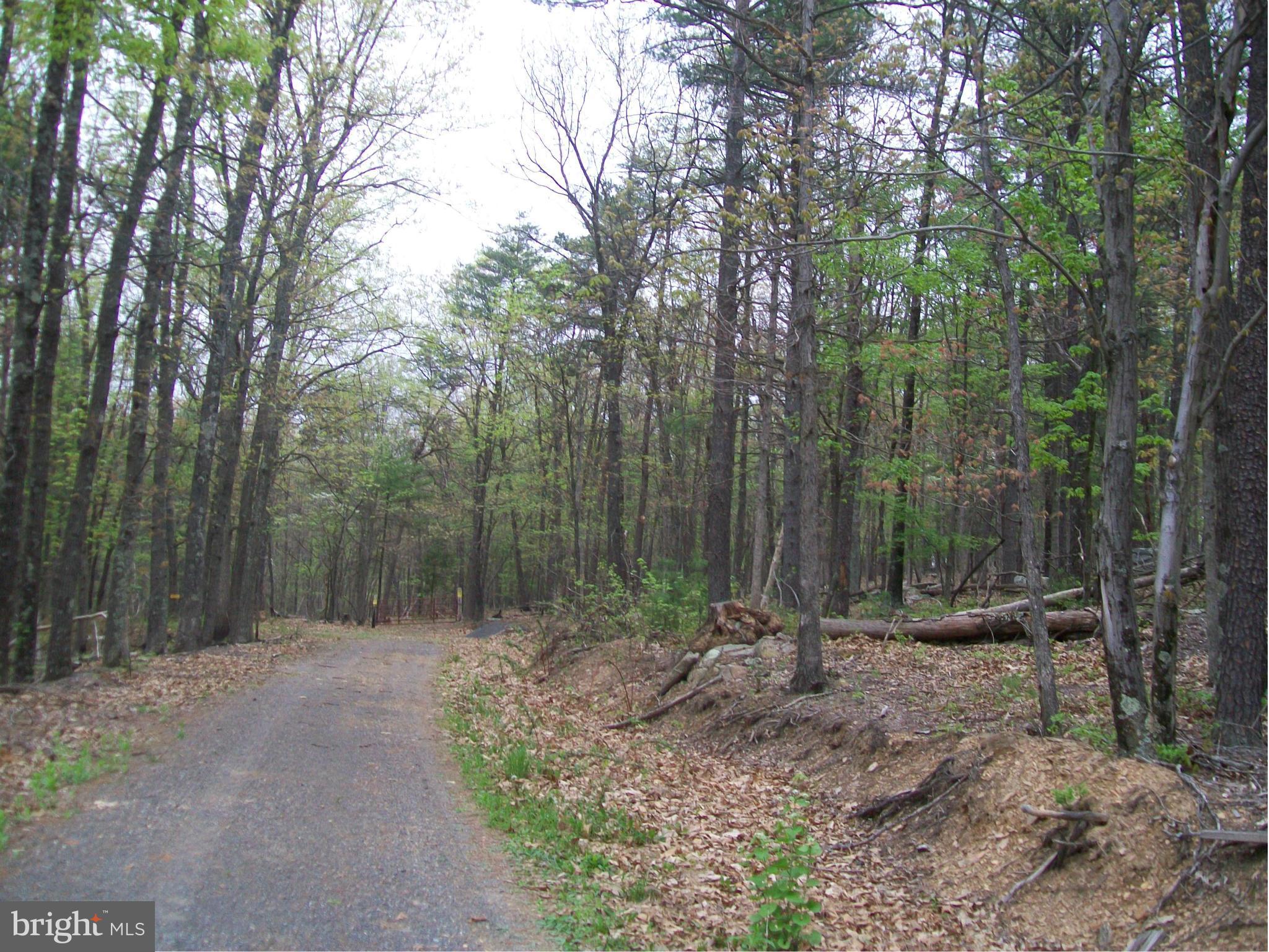 BUFFALO RIDGE RANCHETTES - Land