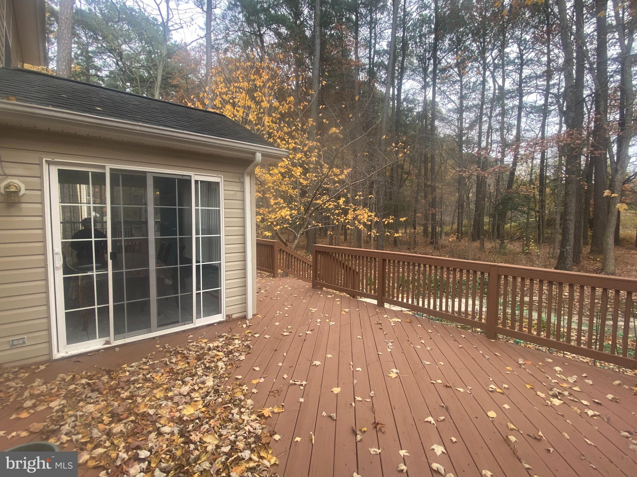 TIMBER LANE THE WOODS - Residential