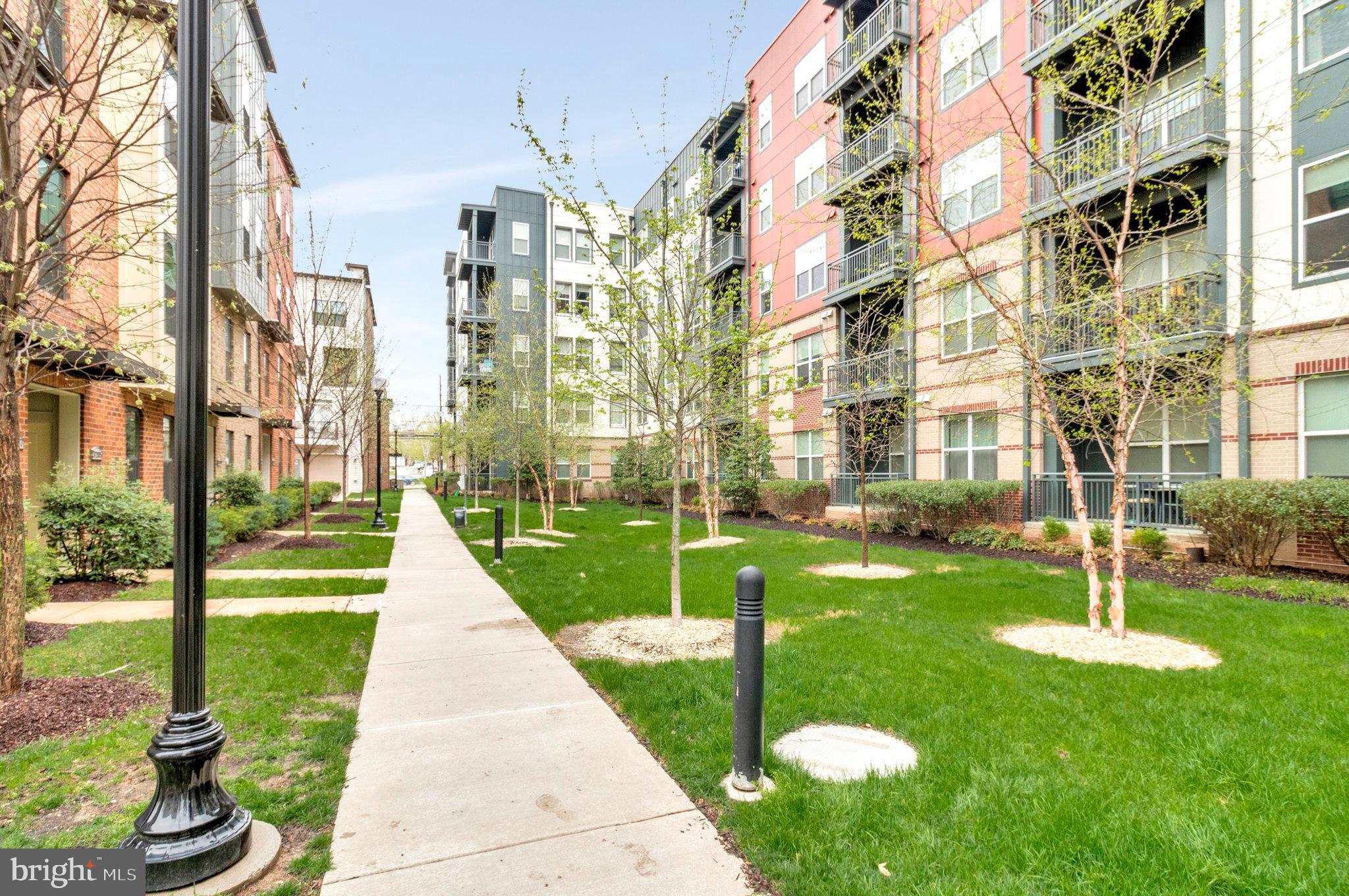 3211 TRIBUNE COURT