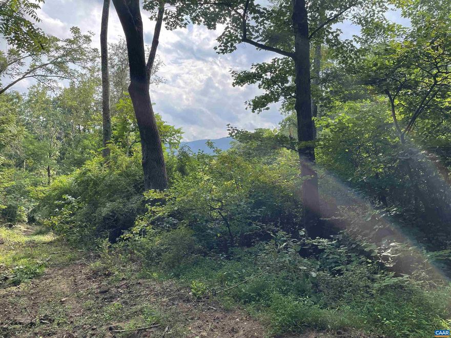 Come enjoy this peaceful wooded lot situated on Afton Mountain! This property offers views of the Blue Ridge Mountains, located just 30 minutes from Charlottesville, and a few minutes from I-64 and Crozet. Nearby you can enjoy several Vineyards, Breweries, and many outdoor activities such as the Skyline Drive, the Blue Ridge Tunnel Trail or the Shenandoah National Park!  Other features include a relaxing stream nearby, no HOA restrictions and a great potential home site to showcase gorgeous mountain views with selective clearing.  Seller plans to do more brush clearing and other improvements to the property. Call List Agent for questions and information!