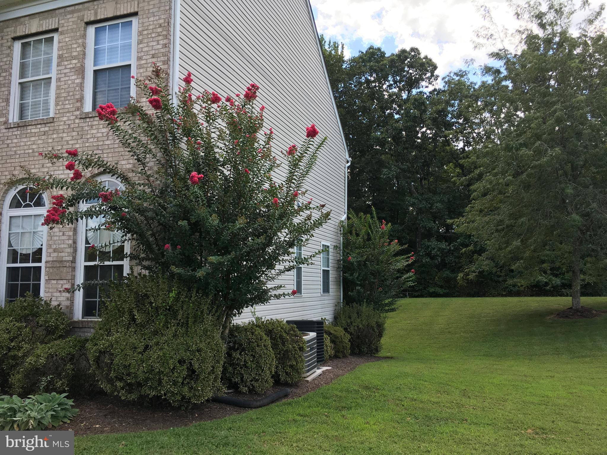 THE RIDGES II-PLAT EIGHT - Residential