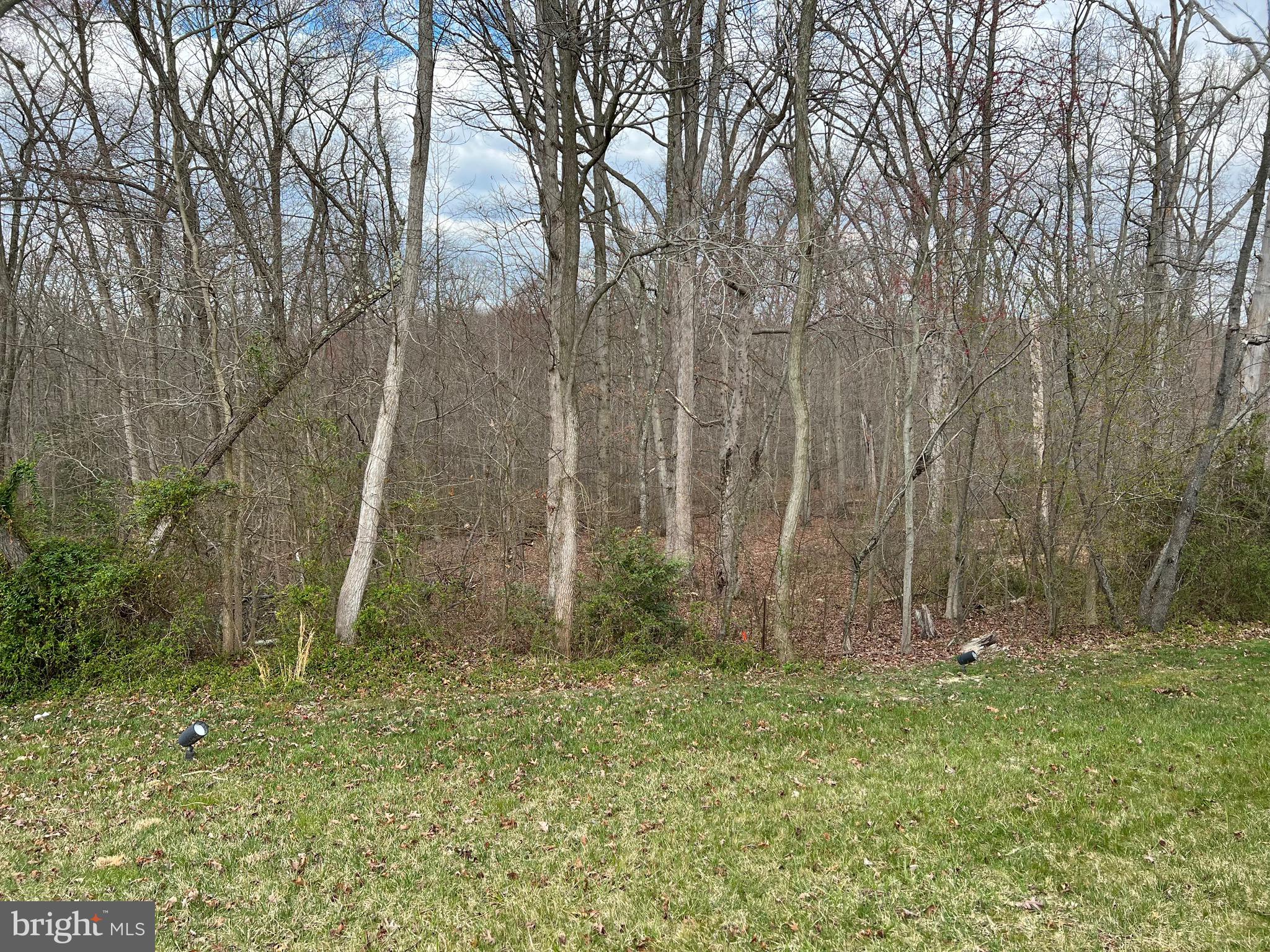 ROGERS FORD - Residential