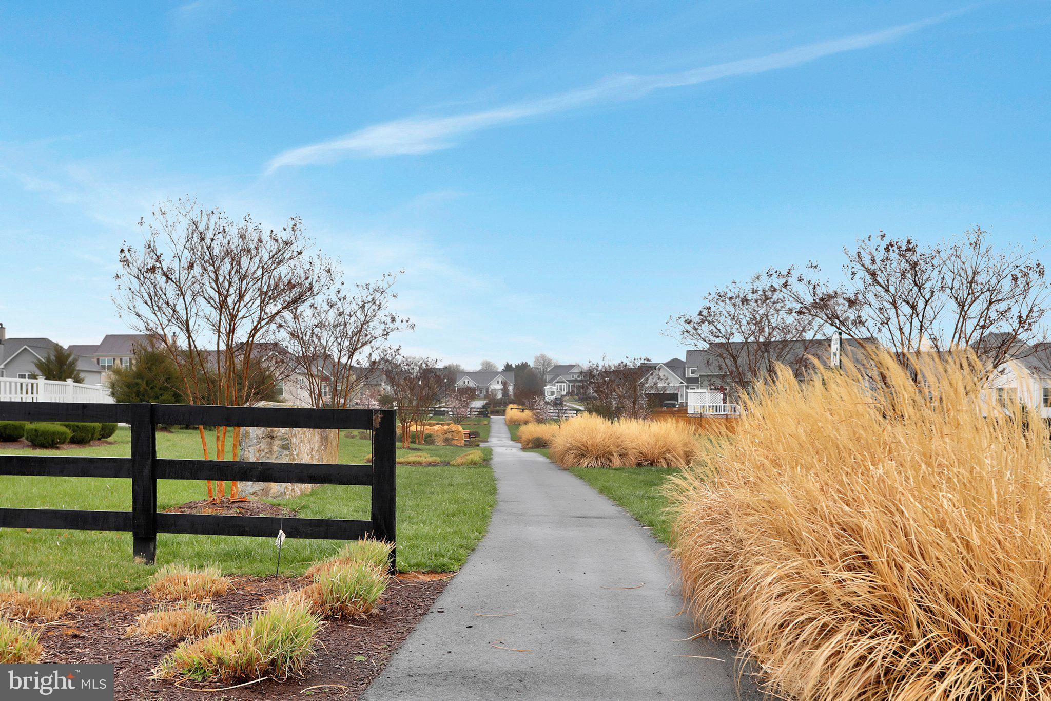 NORBORNE GLEBE - Residential