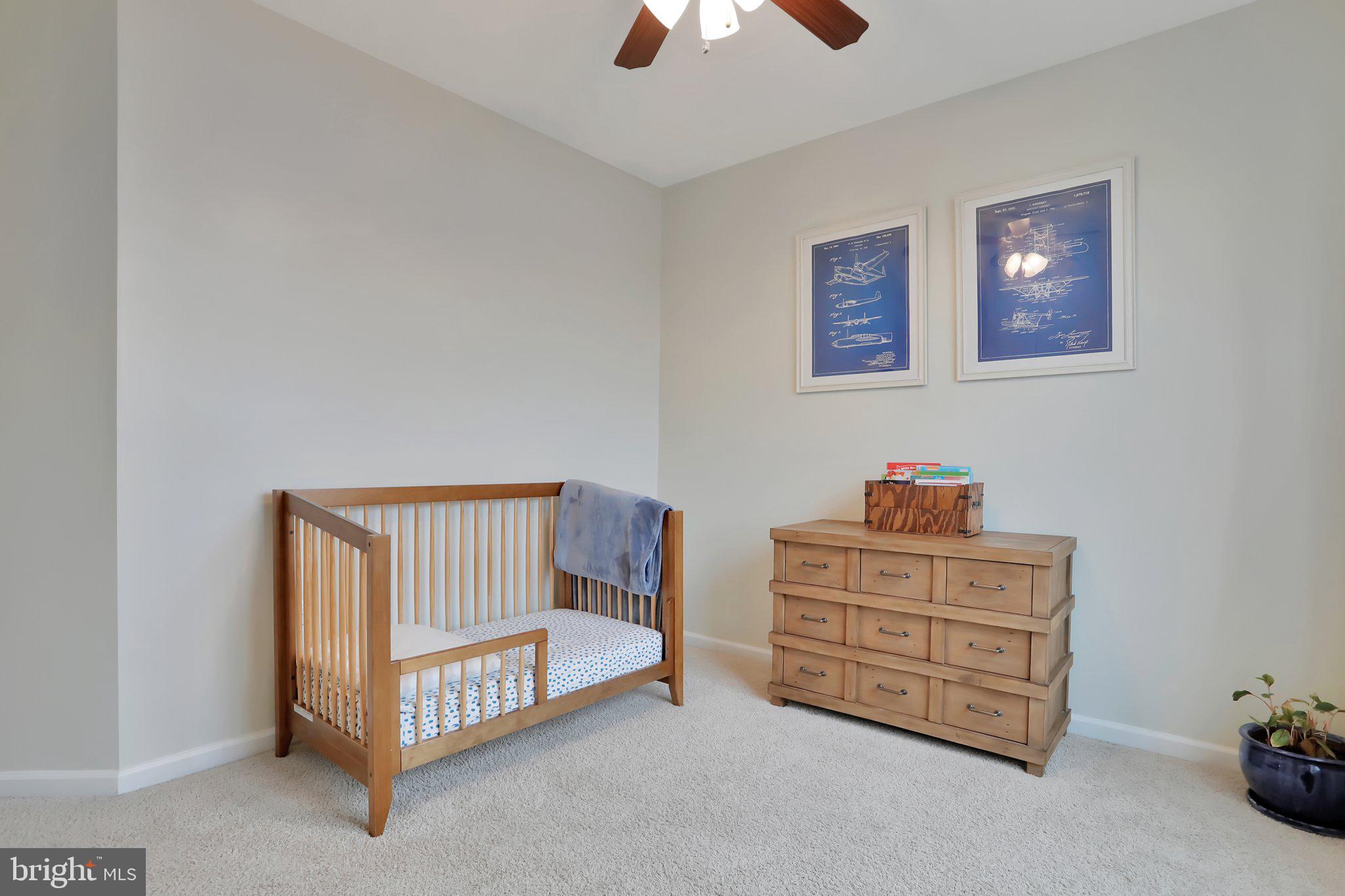 NORBORNE GLEBE - Residential