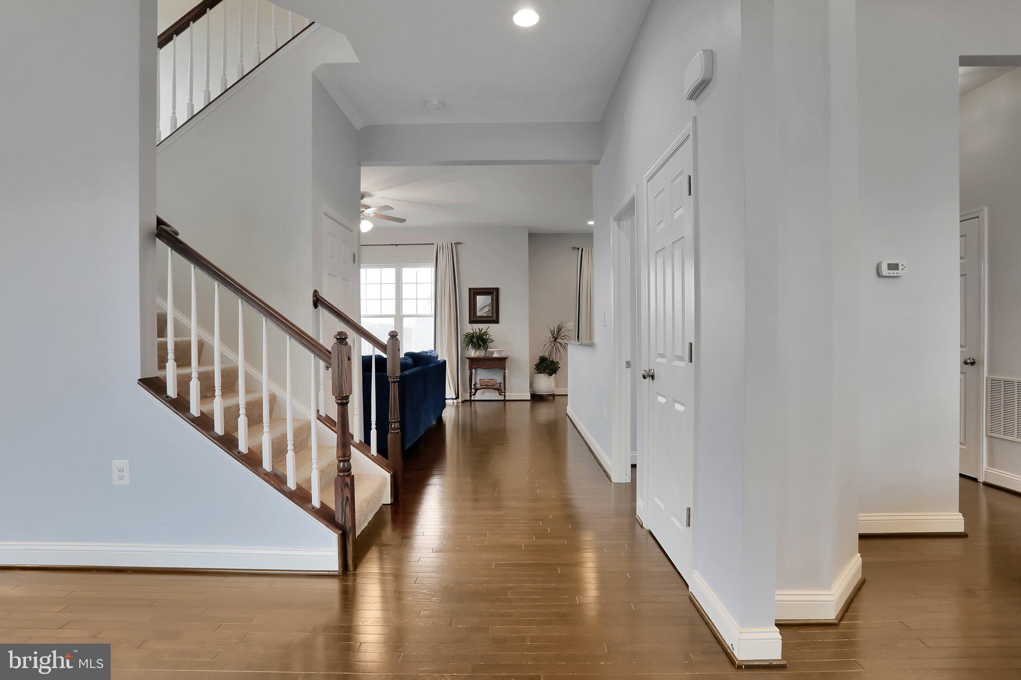 NORBORNE GLEBE - Residential