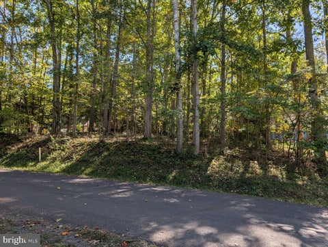 Vacant Land For Sale - 905 Eastover Parkway<br/> LOCUST GROVE, VA 22508