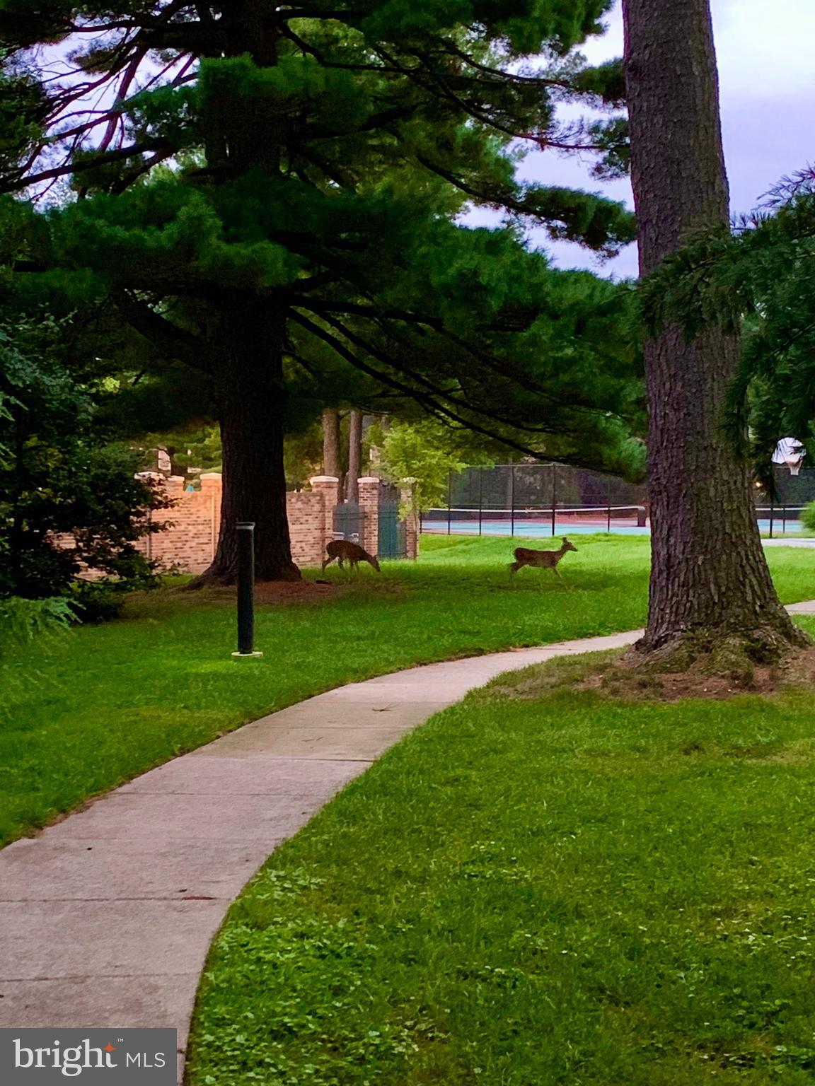 GEORGETOWN VILLAGE - Residential